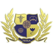 Texila American University